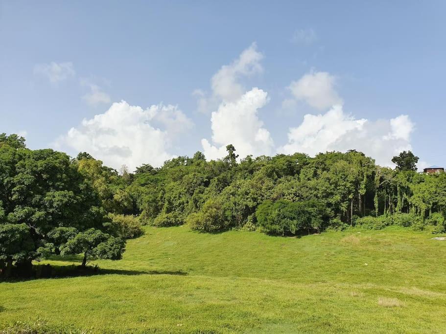 Villa Aichy Rabi Εξωτερικό φωτογραφία