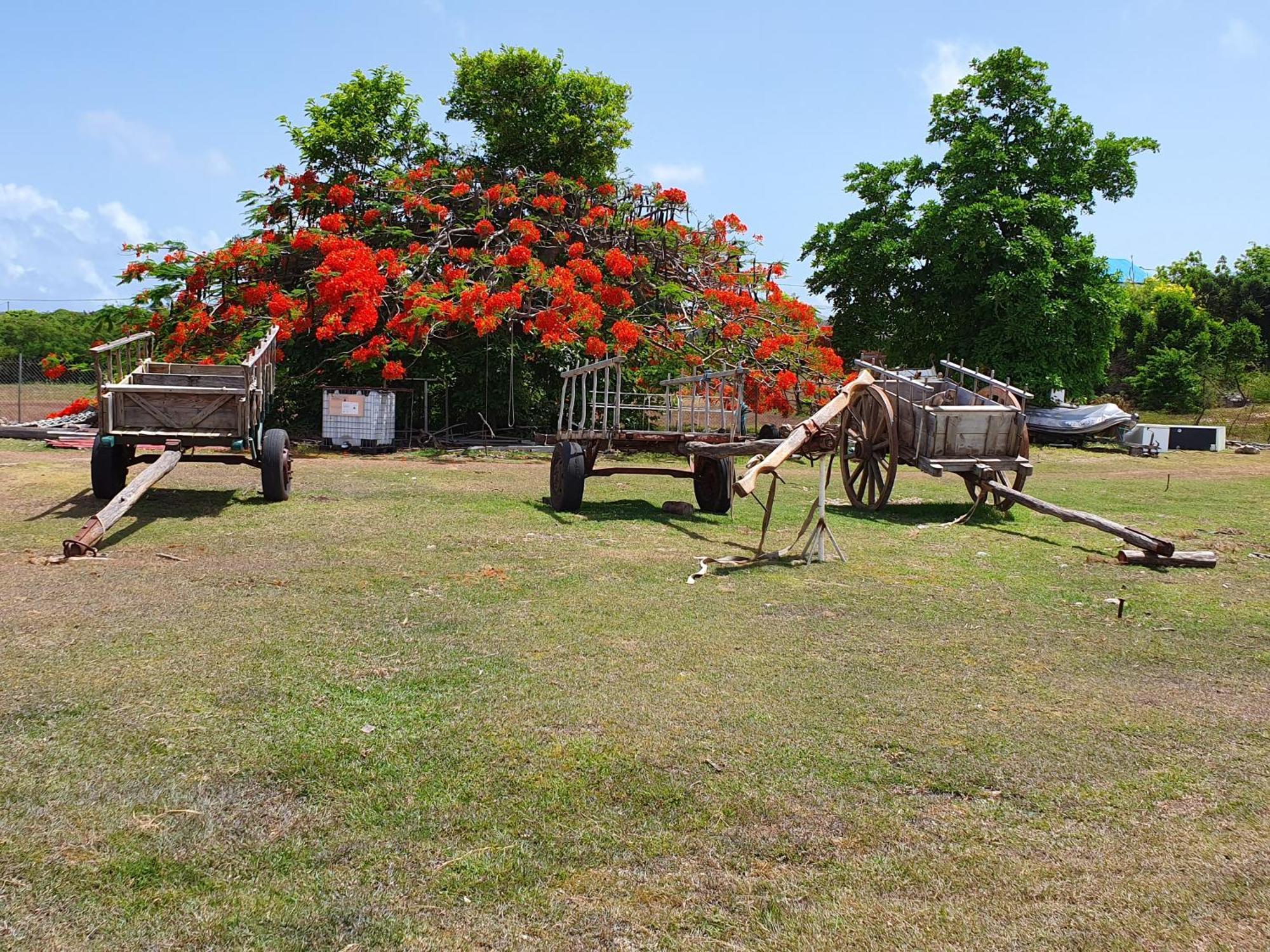 Villa Aichy Rabi Εξωτερικό φωτογραφία